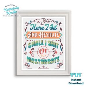 Cross Stitch project that reads: here I sit and hesitate, shall I shit or masturbate?